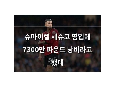 슈마이켈 세슈코 영입에 7300만 파운드 낭비라고 했대