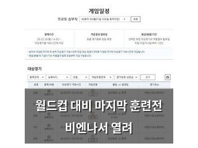 월드컵 대비 마지막 훈련전 비엔나서 열려