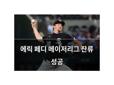 에릭 페디 메이저리그 잔류 성공