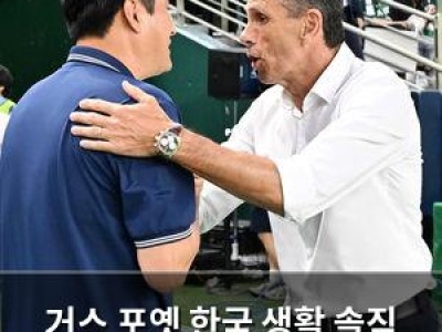 거스 포옛 한국 생활 솔직 고백