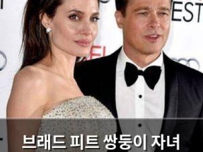 브래드 피트 쌍둥이 자녀 외면받은 이유