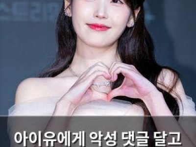 아이유에게 악성 댓글 달고 기소된 네티즌 항소심에서 집행유예 받음