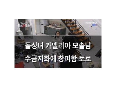 돌싱녀 카멜리아 모솔남 수금지화에 창피함 토로