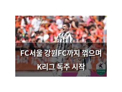 FC서울 강원FC까지 꺾으며 K리그 독주 시작