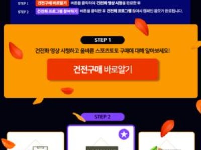 스포츠토토 이벤트에 벳볼까지 등장